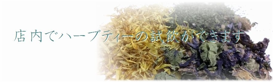 横浜市青葉区あざみ野 あざみ野団地前停留所 薬局